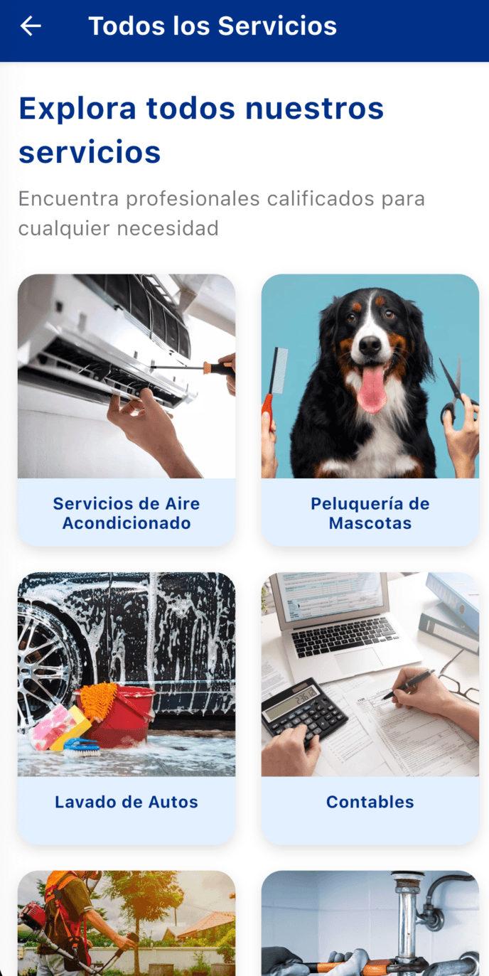 Pantalla principal